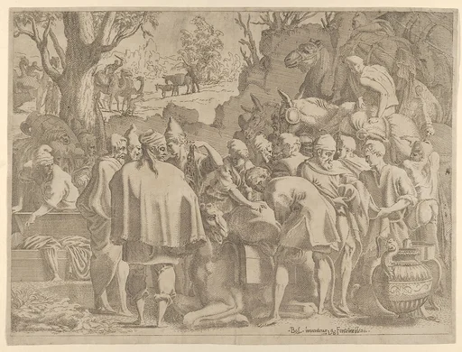Men Gathered Around a Camel
