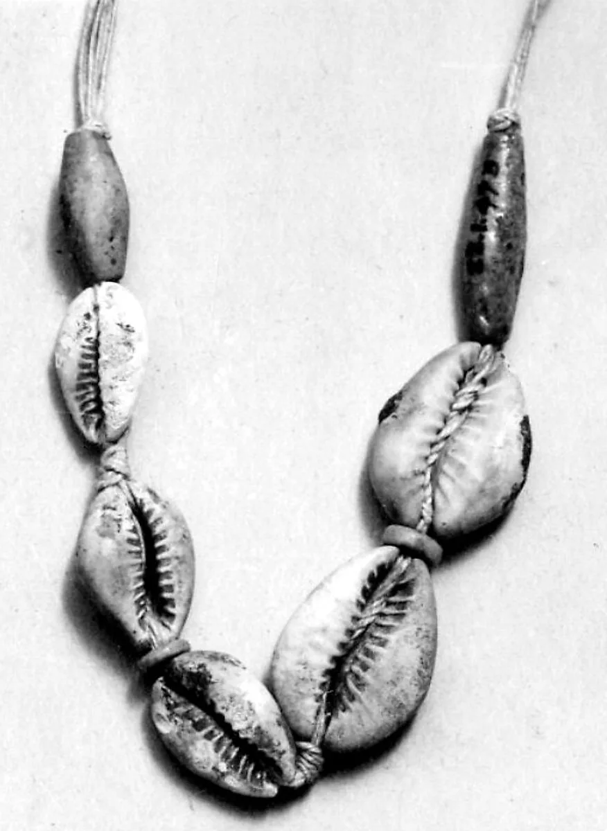 String of shells — Unknown