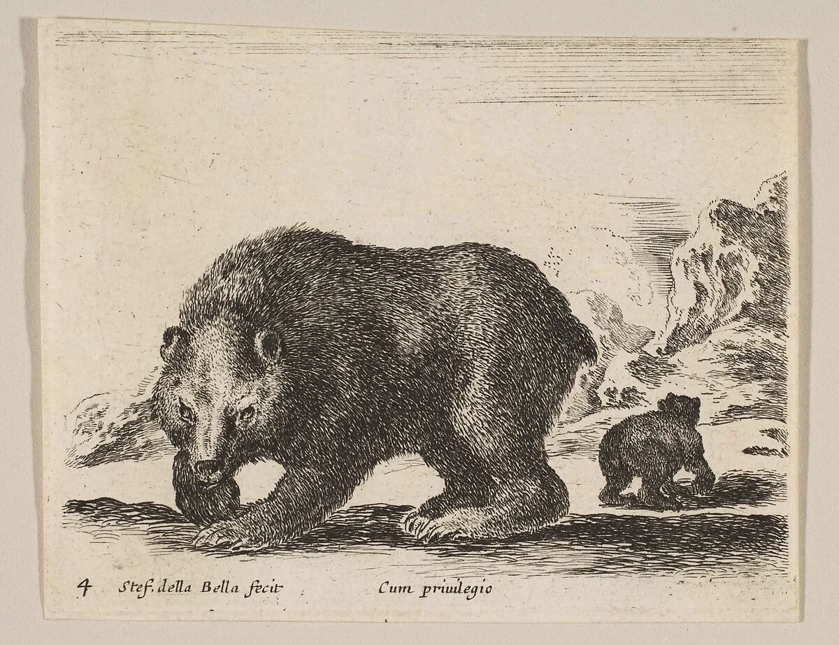 Plate 4: Bear, from "Various animals" (Diversi animali) — Stefano della Bella