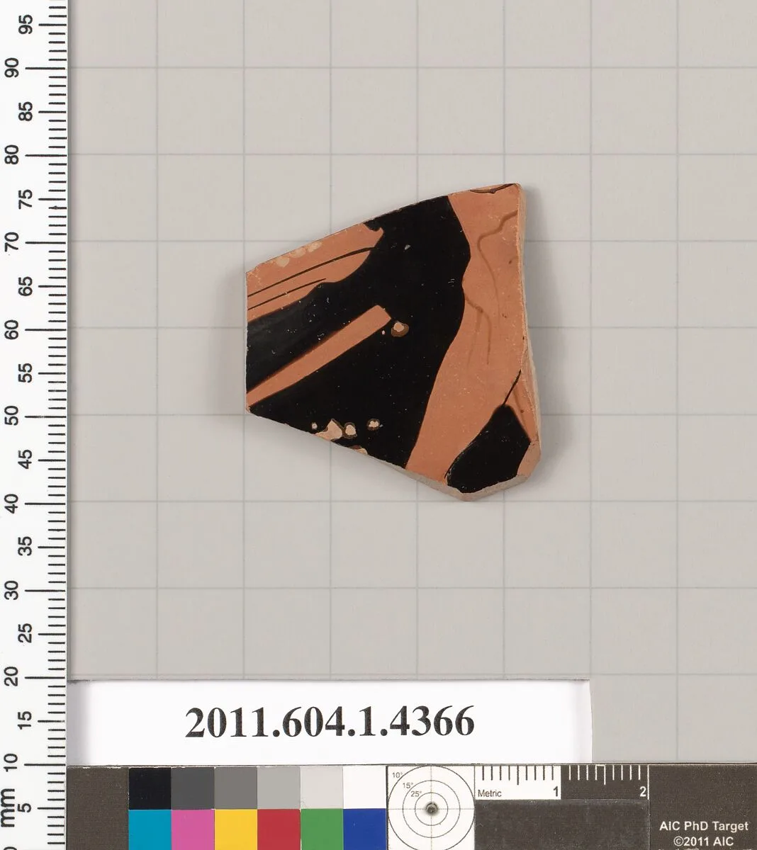 Terracotta fragment of a kylix (drinking cup) — Unknown