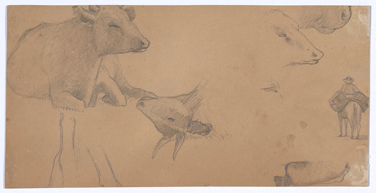 Sketches of a Donkey, a Cow, and a Man on Horseback — Elihu Vedder