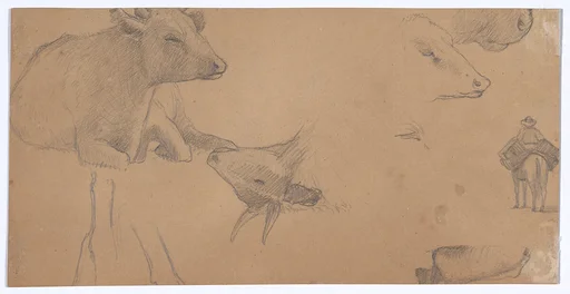 Sketches of a Donkey, a Cow, and a Man on Horseback