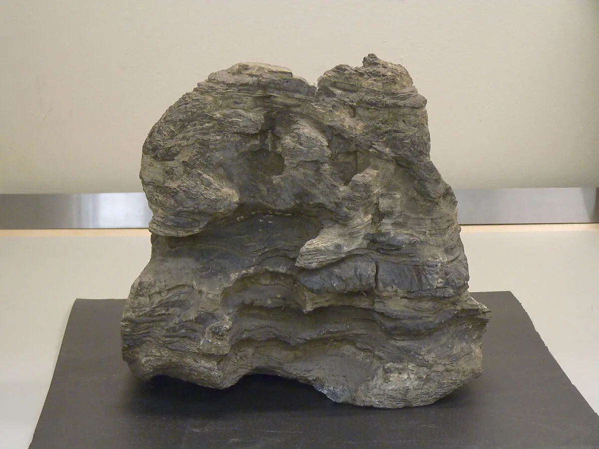 石灰岩奇石|Scholar's Rock — Unknown