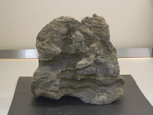 石灰岩奇石|Scholar's Rock