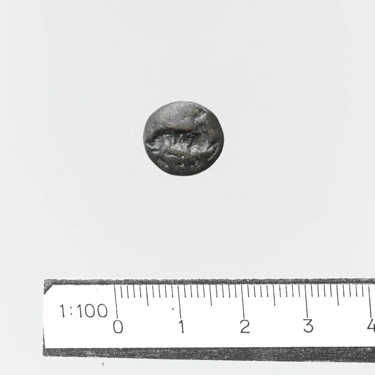 Seal — Unknown