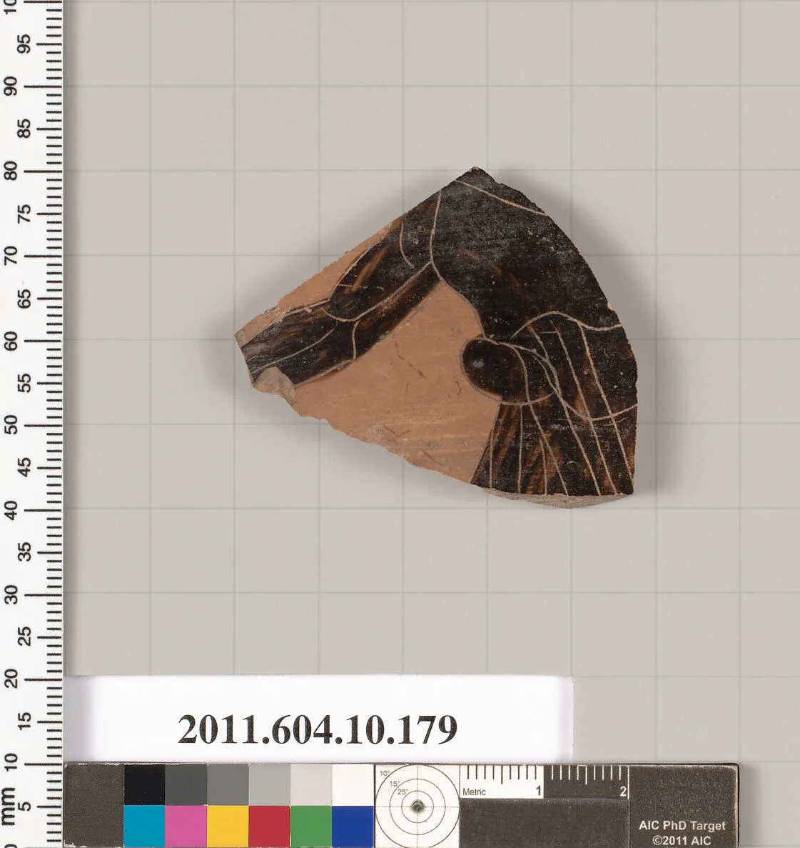Terracotta fragment of a closed shape — Unknown