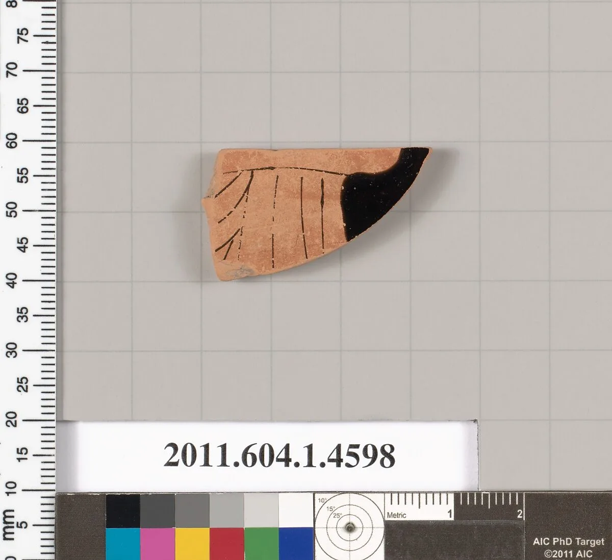 Terracotta fragment of a kylix (drinking cup) — Unknown