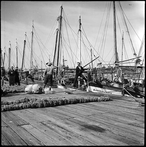[Sponge Wharf at Tarpon Springs, Florida]