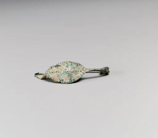 Fibula