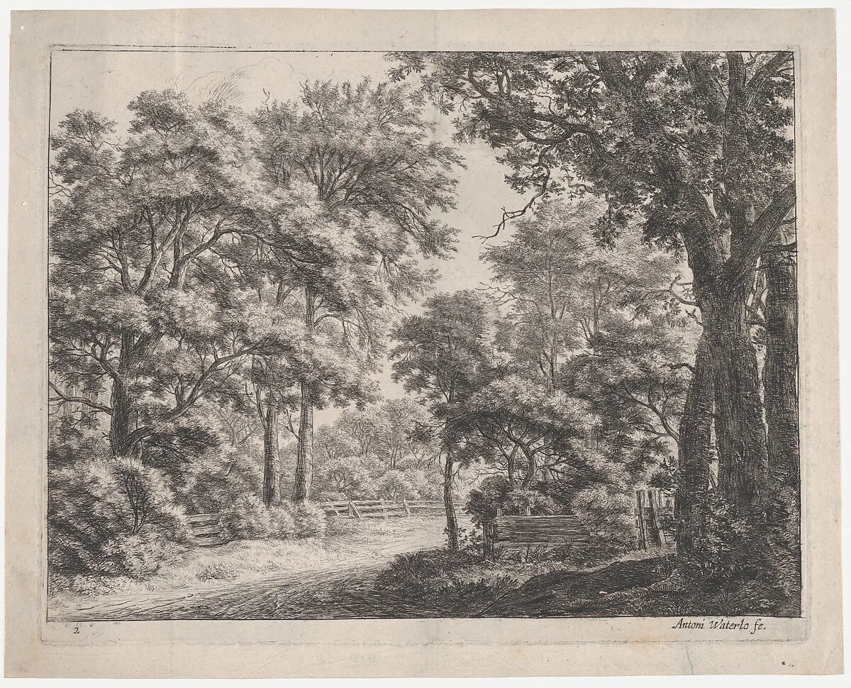 The Trimmed Groves — Anthonie Waterloo