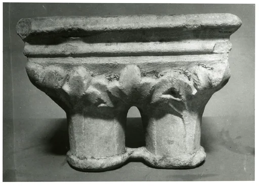 Double Capital