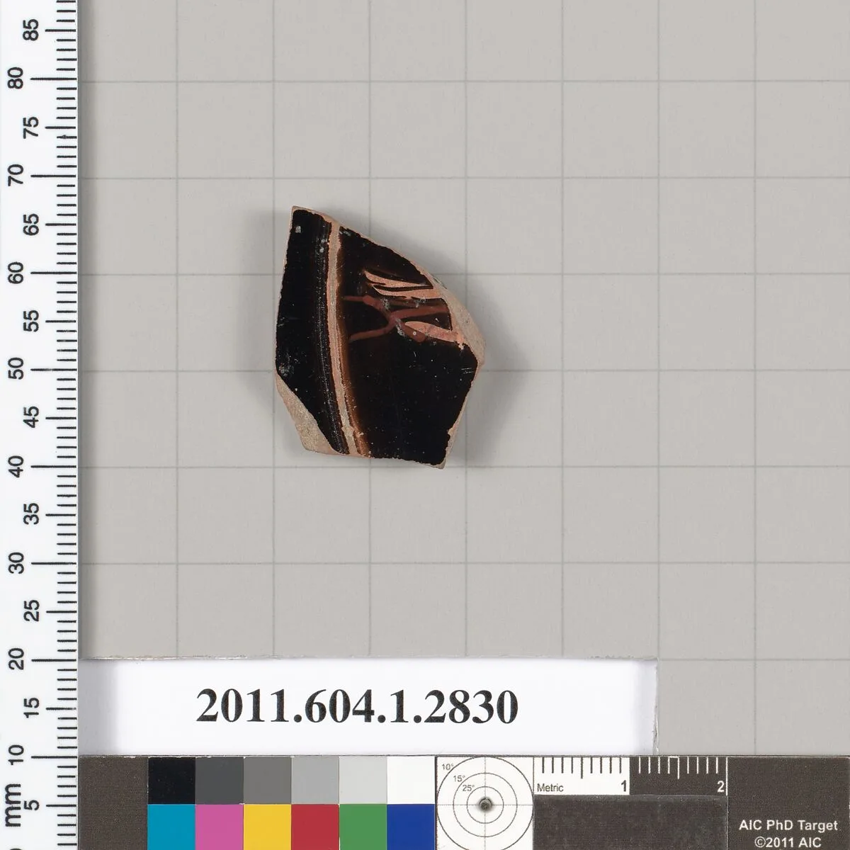 Terracotta fragment of a kylix (drinking cup) — Unknown