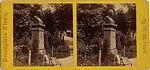 [22 Stereographic Views of Johann C. F. von Schiller Monument, Central Park, New York]