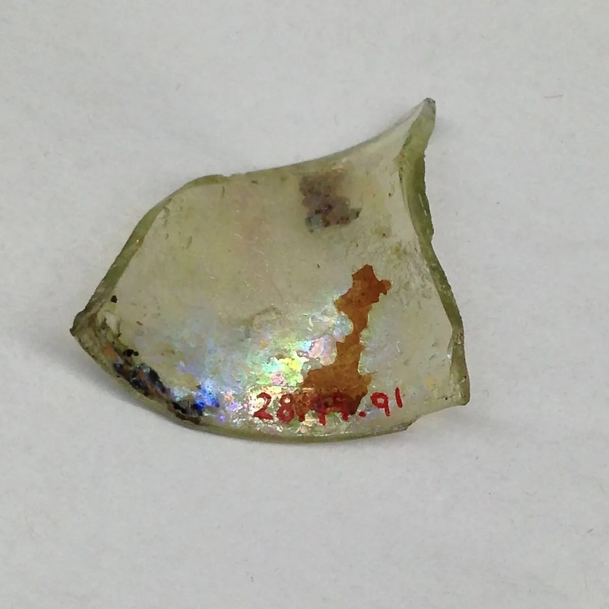 Fragment — Unknown