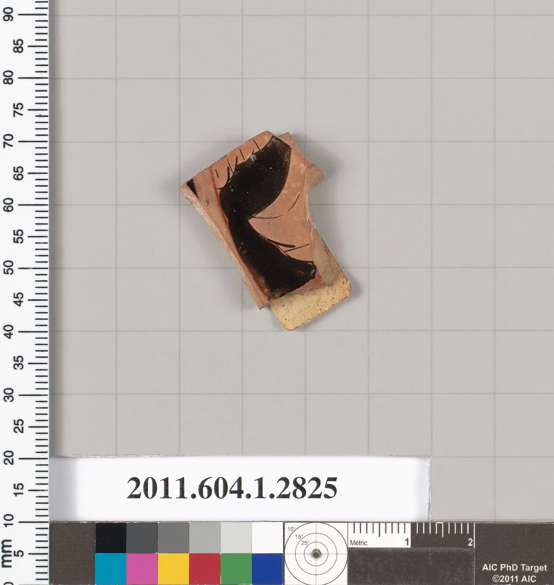Terracotta fragment of a kylix (drinking cup) — Unknown