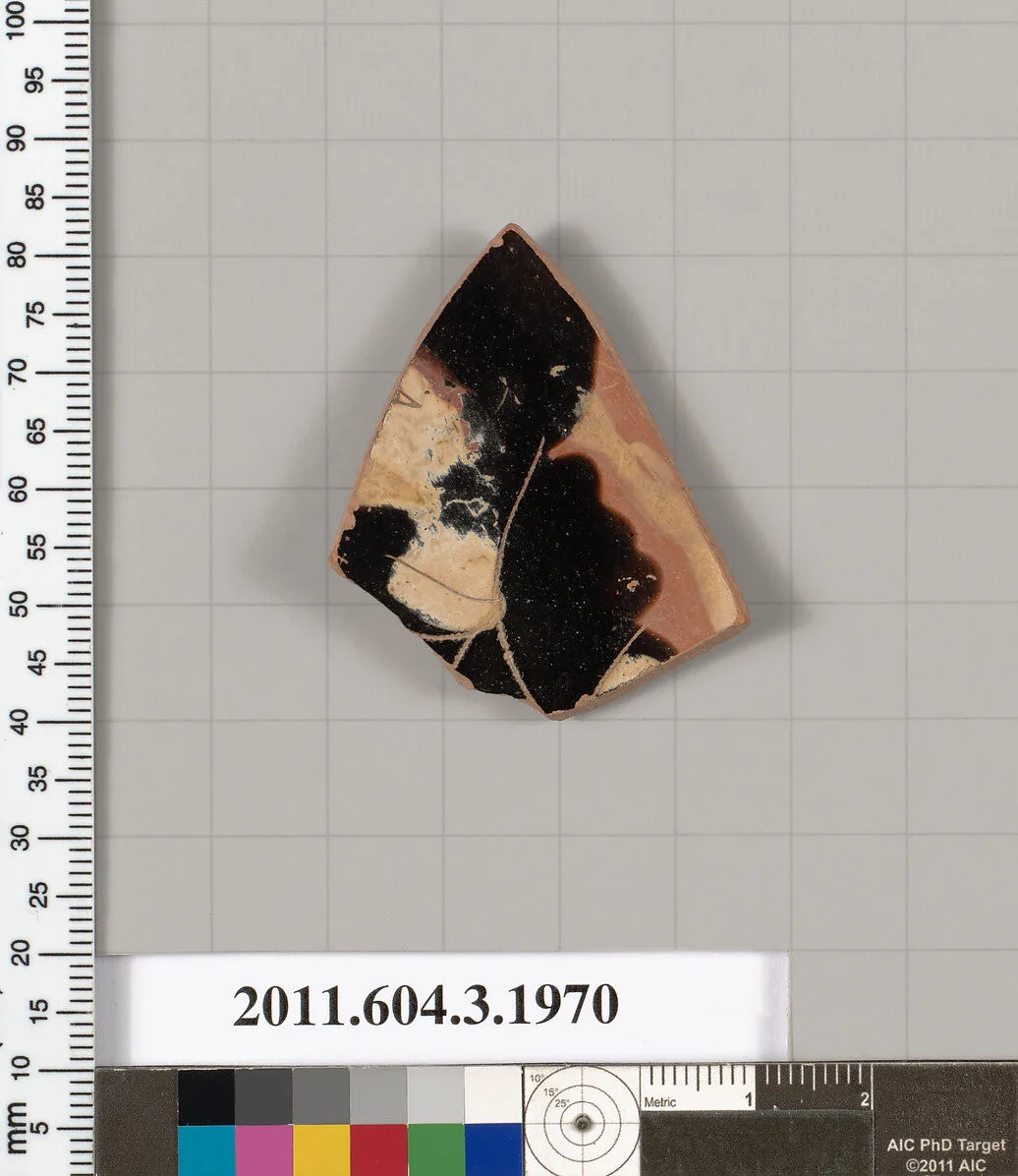 Terracotta fragment of a kylix (drinking cup) — Unknown