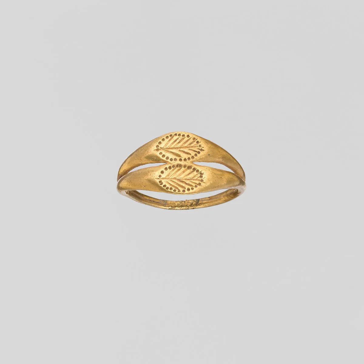Gold ring with a double hoop and a palm frond engraved on each bezel — Unknown