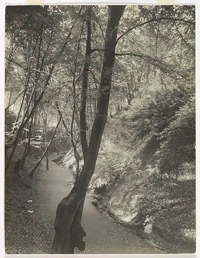 Footpath in the Siebengebirge