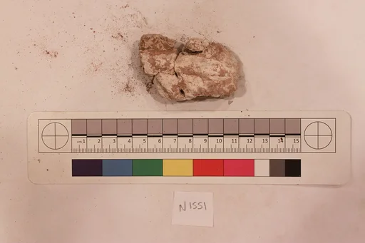 Stucco Fragment