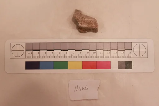 Stucco Fragment