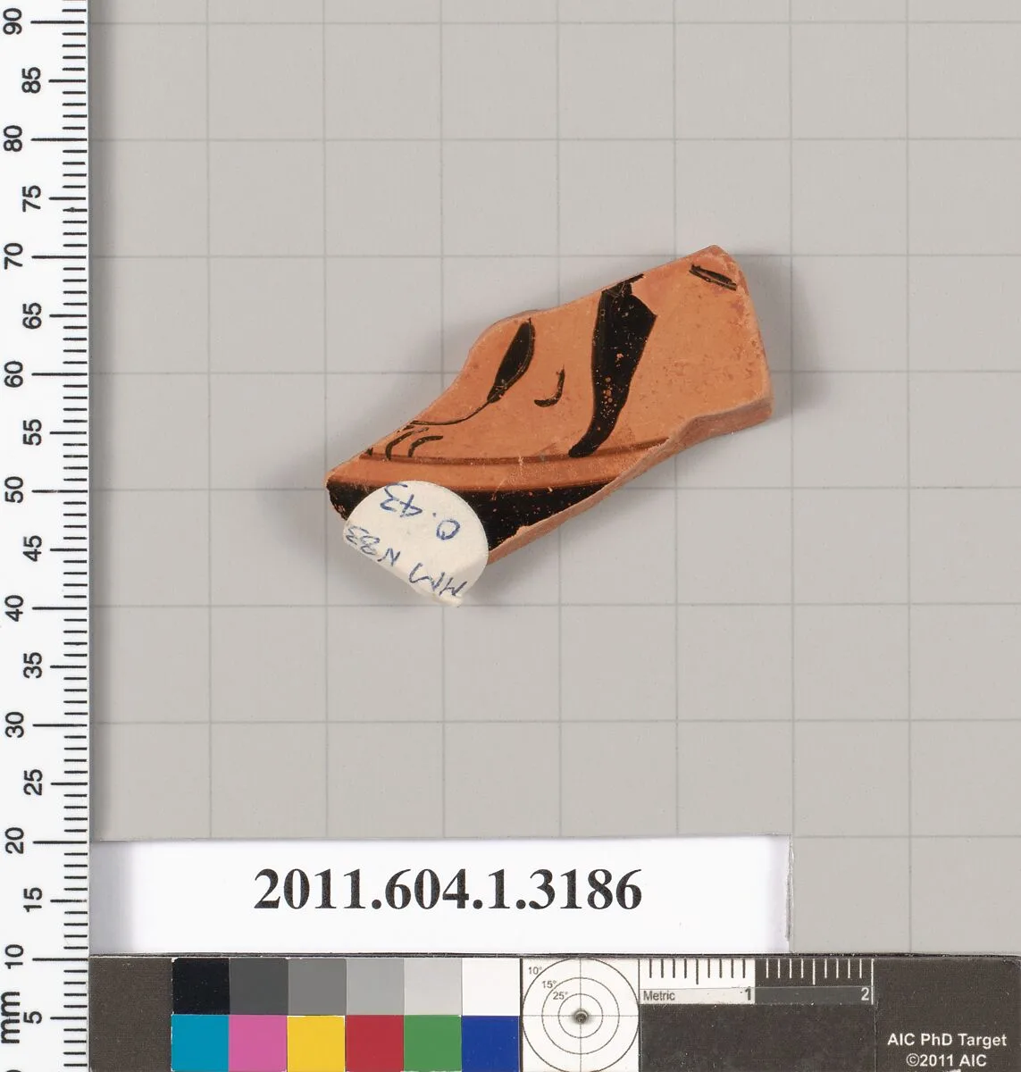 Terracotta fragment of a kylix (drinking cup) — Unknown