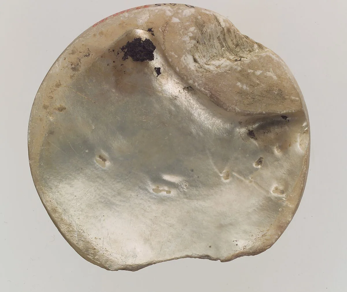 Plaque — Unknown