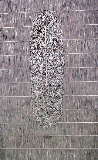 Drawing for "Introductory Glyph" — Joan Witek