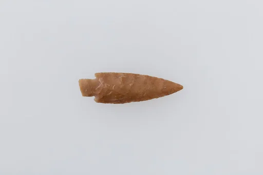 Projectile Point