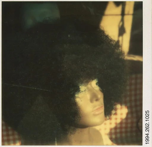 [Head of Mannequin: Afro Wig]
