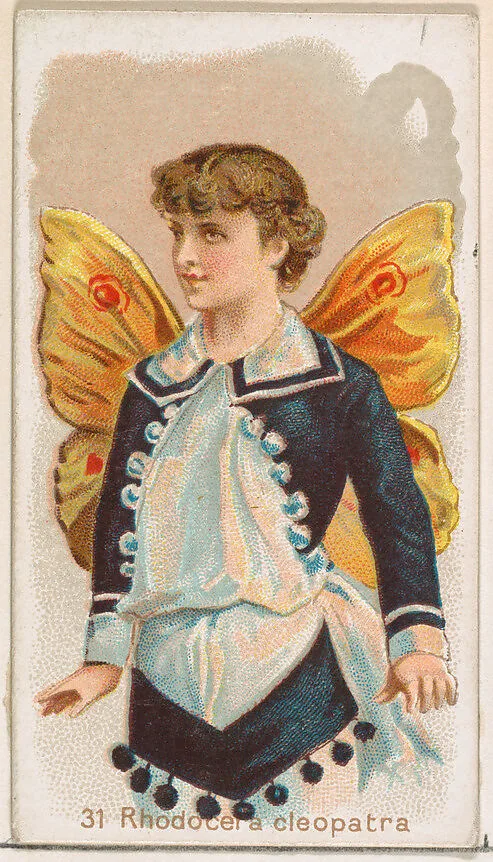 Card 31, Rhodocera Cleopatra, from the Butterflies series (N183) issued by Wm. S. Kimball & Co. — William S. Kimball & Company|Julius Bien