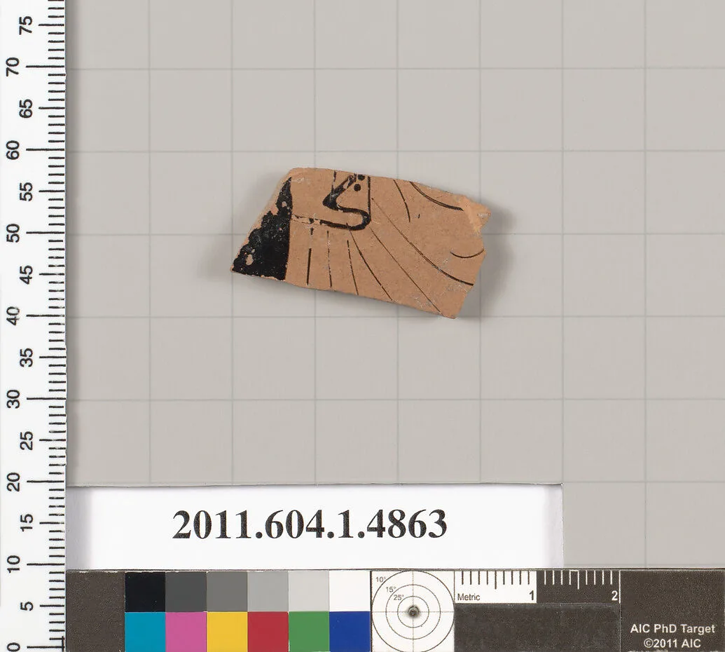 Terracotta fragment of a kylix (drinking cup) — Unknown