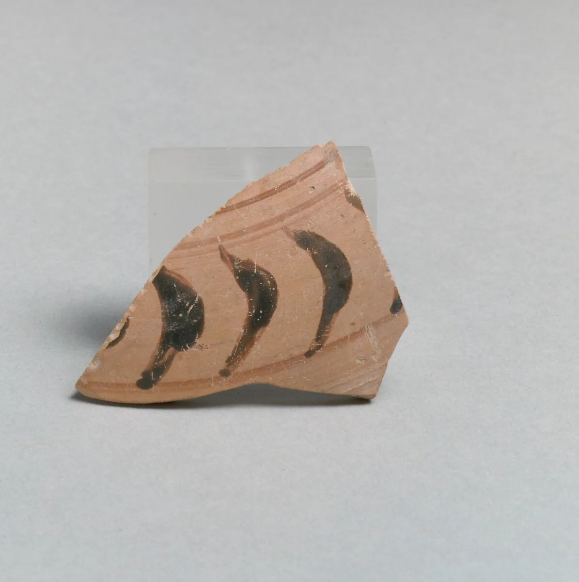 Vase fragment — Unknown