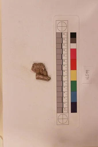 Stucco Fragment