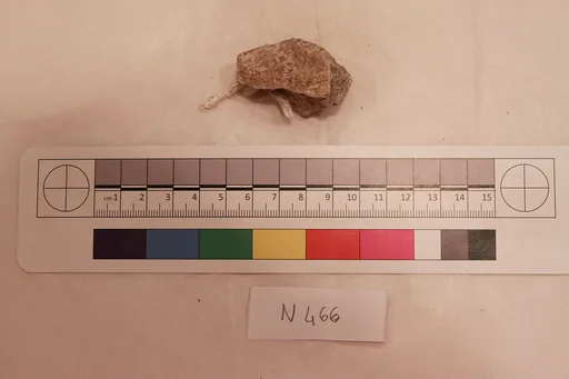 Stucco Fragment