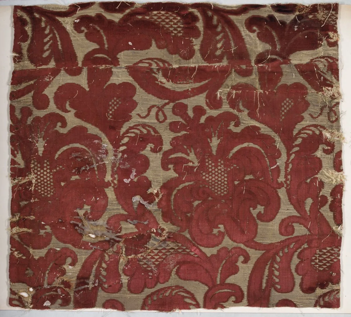 Fragment — Unknown
