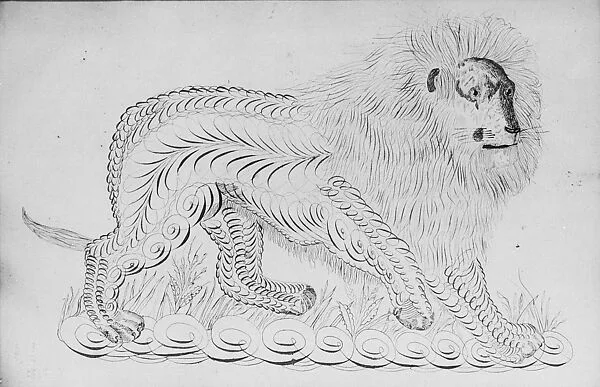 Lion — Unknown