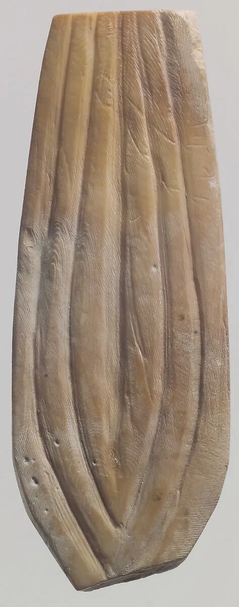 Shell fragment — Unknown