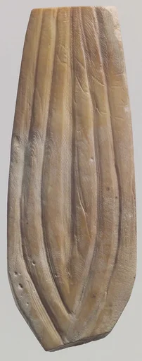 Shell fragment