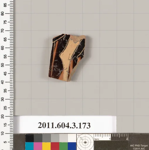 Terracotta fragment of an amphora (jar)