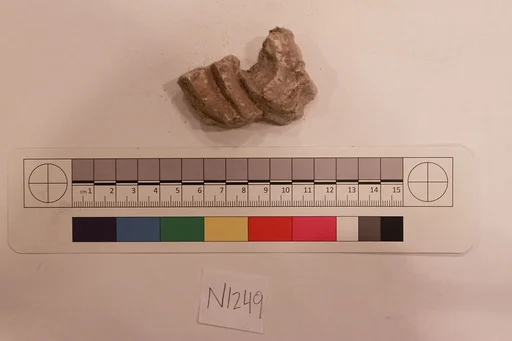 Stucco Fragment