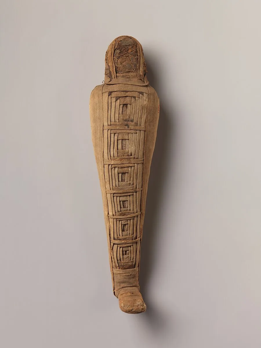 Sacred animal mummy in the form of a falcon — Unknown