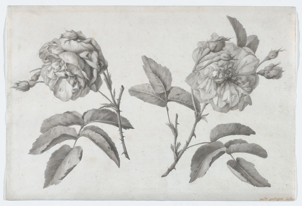 Two Roses — Anne Vallayer-Coster