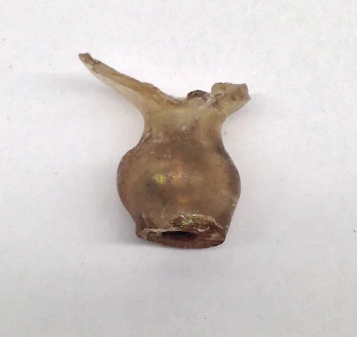 Fragment of Flask Necks