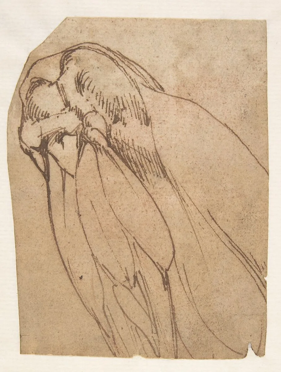 Anatomical Study of a Knee — Michelangelo Buonarroti