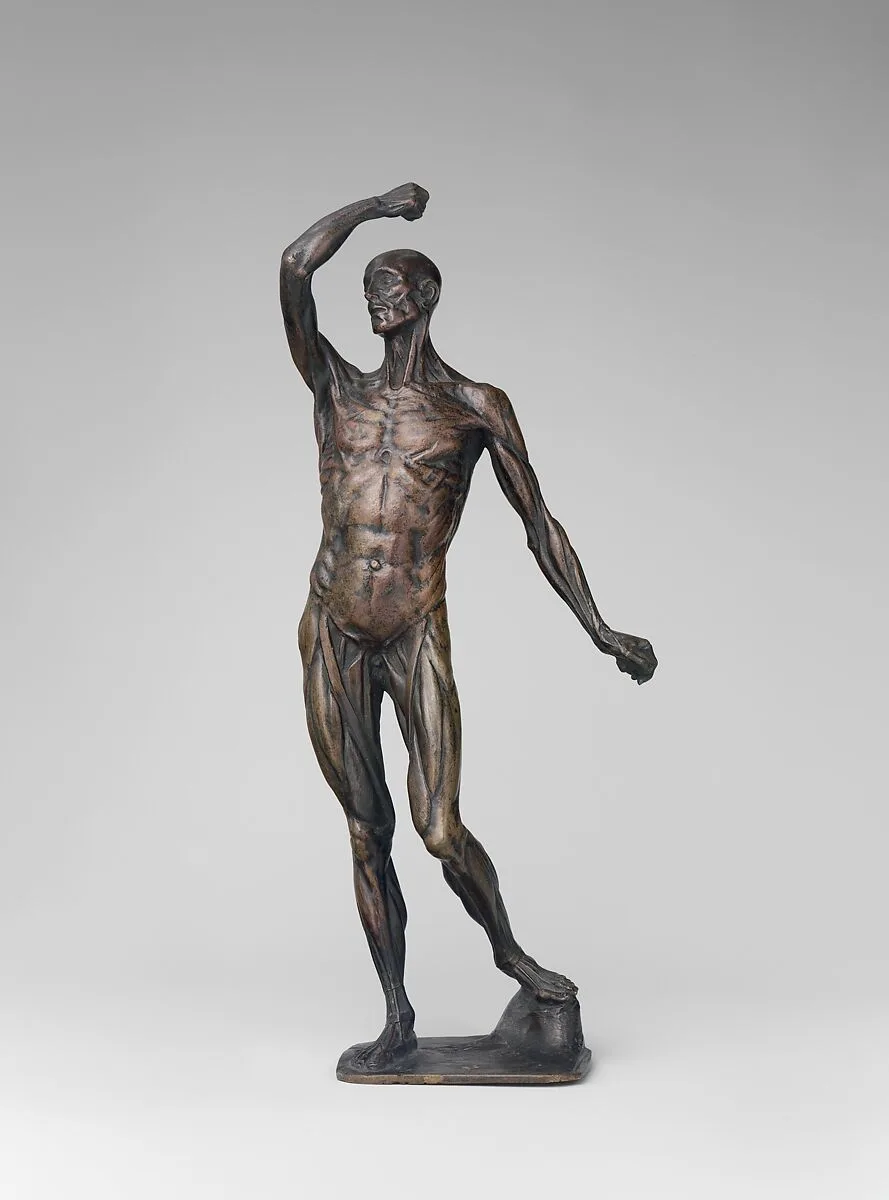 Ecorché — Michael Henry Spang