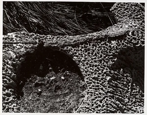 Terracotta 17 — Aaron Siskind