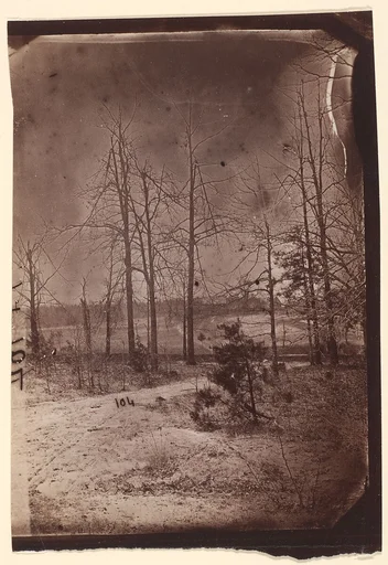 [The Wilderness Battlefield]