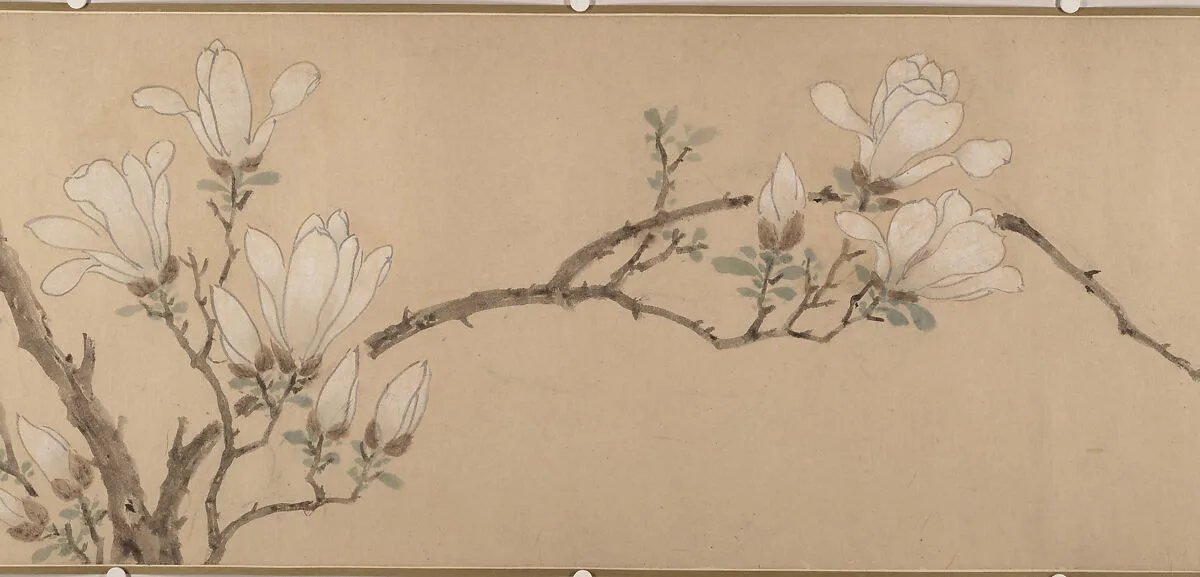 明 佚名(文徵明款) 玉蘭圖 卷|Magnolia — Wen Zhengming|Unidentified artist