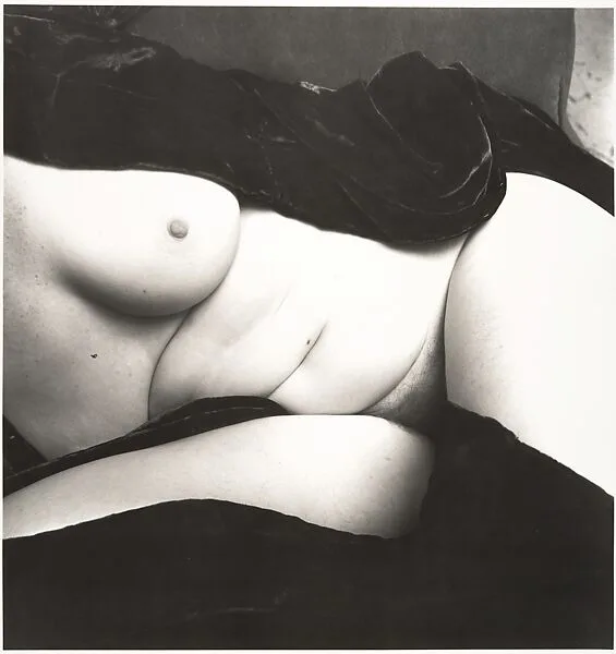 Nude No. 139 — Irving Penn