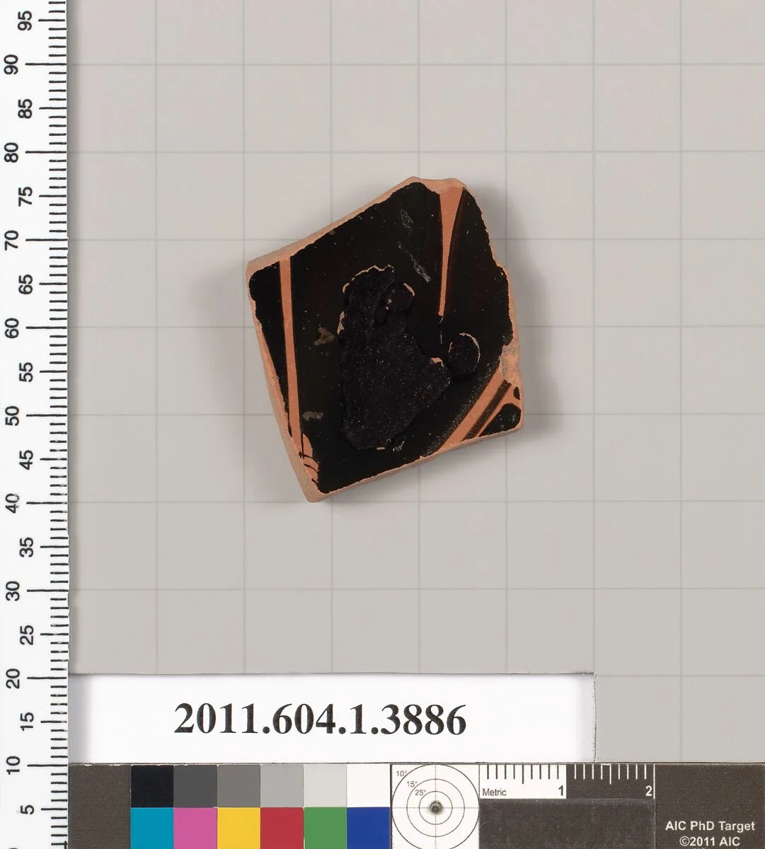 Terracotta fragment of a kylix (drinking cup) — Unknown